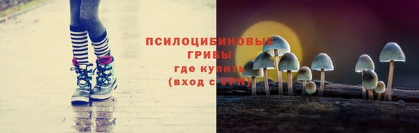 крисы Протвино