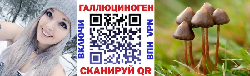 кракен tor  Алатырь  Псилоцибиновые грибы прущие грибы 
