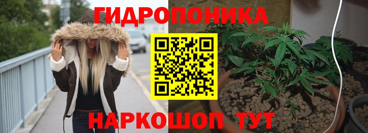 Бошки марихуана сатива  Алатырь  Каннабис тримм  Канабис THC 21%  Марихуана Bruce Banner 